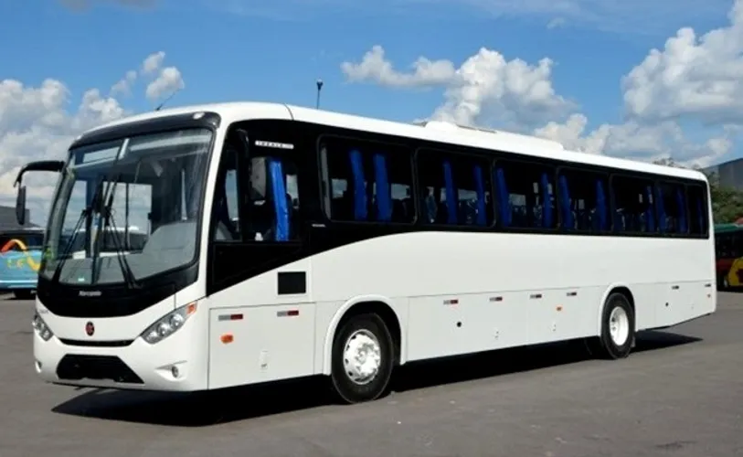 Wedding Bus Hire Near Me – Seamless Transport for Your Perfect Day